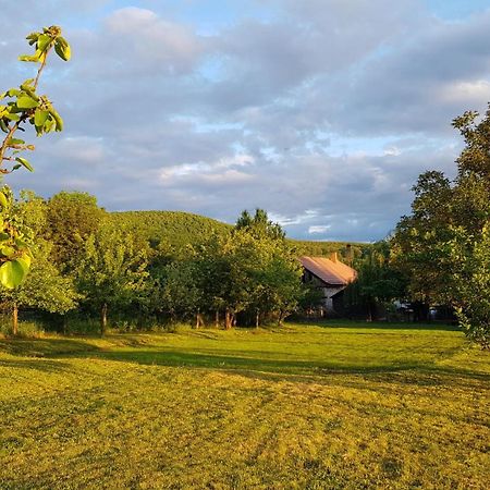 Tepke Guesthouse Garáb المظهر الخارجي الصورة